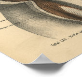 ヴィンテージヒト解剖学プリントお尻脚筋 ポスター (角)