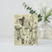 ヴィンテージヒト解剖学喉頭脚レオナルドダヴィンチ ポストカード (スタンド正面)