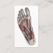 ヴィンテージヒト解剖学足足 名刺 (裏面)