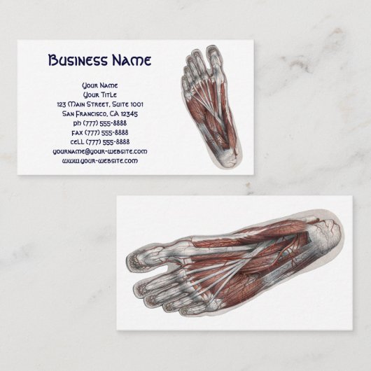 ヴィンテージヒト解剖学足足 名刺 (正面/裏面)