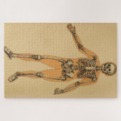 ヴィンテージヒト骨格イラストレーション(1887) ジグソーパズル (横)