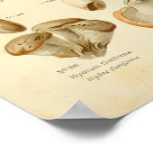 ヴィンテージヒドナムブラウンマッシュルームアートプリント フランスの ポスター (角)