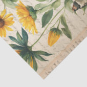 ヴィンテージヒマワリの鳥の種のパケットephemera 薄葉紙 (詳細)