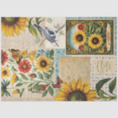 ヴィンテージヒマワリの鳥の種のパケットephemera 薄葉紙 (正面)