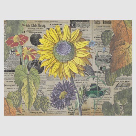 ヴィンテージヒマワリ園芸アッドエフェメラ 薄葉紙 (正面)