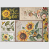 ヴィンテージヒマワリ蝶シードパケットEphemera 薄葉紙 (正面)