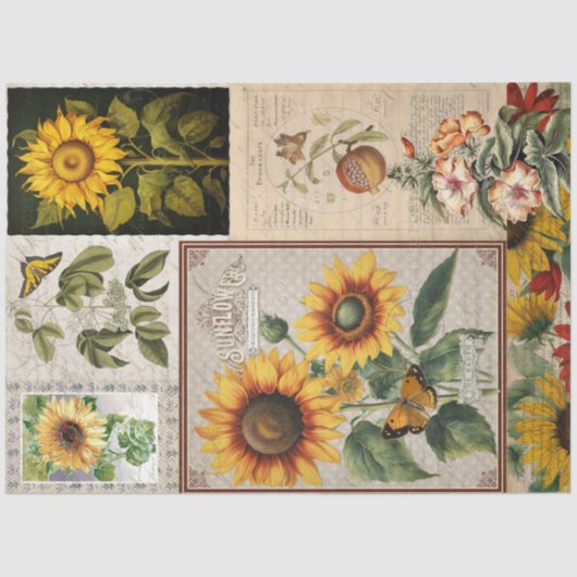 ヴィンテージヒマワリ蝶シードパケットEphemera 薄葉紙 (正面)