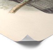 ヴィンテージヒメコンドル ポスター (角)