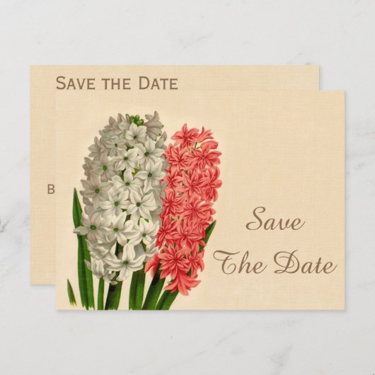 ヴィンテージヒヤシンス100誕生日日付を保存 案内ポストカード (正面/裏面)