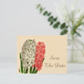 ヴィンテージヒヤシンス100誕生日日付を保存 案内ポストカード (スタンド正面)