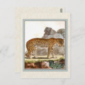 ヴィンテージヒョウイラストレーション ポストカード (正面/裏面)