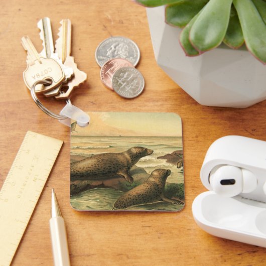 ヴィンテージヒョウ海、野生動物によるアザラシ キーホルダー (デスク)