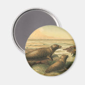 ヴィンテージヒョウ海、野生動物によるアザラシ マグネット (正面/裏面)