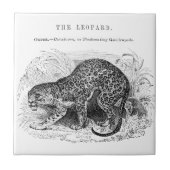 ヴィンテージヒョウ野生動物イラストレーション タイル (正面)