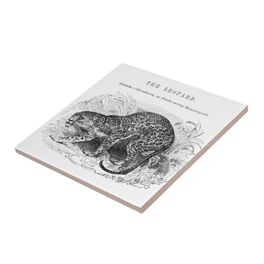 ヴィンテージヒョウ野生動物イラストレーション タイル (側面)