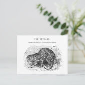 ヴィンテージヒョウ野生動物イラストレーション ポストカード (スタンド正面)