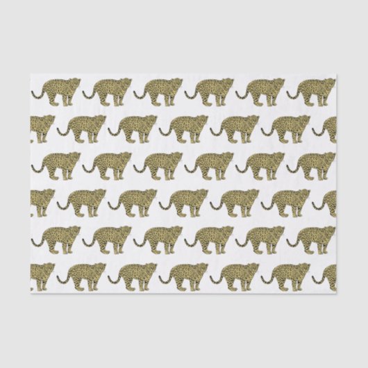 ヴィンテージヒョウ・チーター斑点のある猫スケッチ 薄葉紙 (正面)