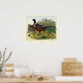 ヴィンテージビクトリアンエラキジ族 ポスター (キッチン)