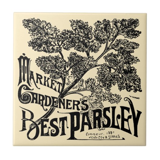 ヴィンテージビクトリアンエラフルーツ&ベジタブルパセリーアド タイル (正面)