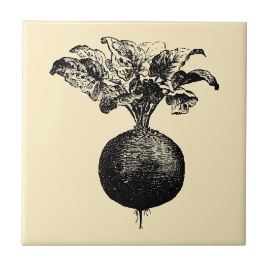 ヴィンテージビクトリアンエラフルーツ&ベジタブルビーツアド タイル (正面)