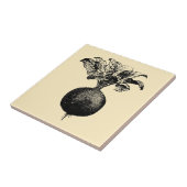 ヴィンテージビクトリアンエラフルーツ&ベジタブルビーツアド タイル (側面)