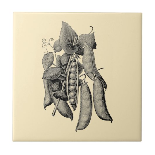 ヴィンテージビクトリアンエラフルーツ&ベジタブルピーズアド タイル (正面)