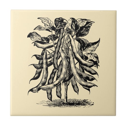 ヴィンテージビクトリアンエラフルーツ&野菜豆Ad タイル (正面)