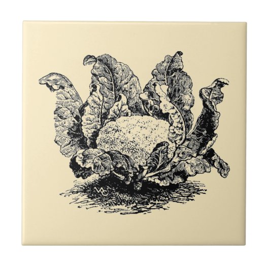 ヴィンテージビクトリアンエラベジタブルカリフラワー タイル (正面)