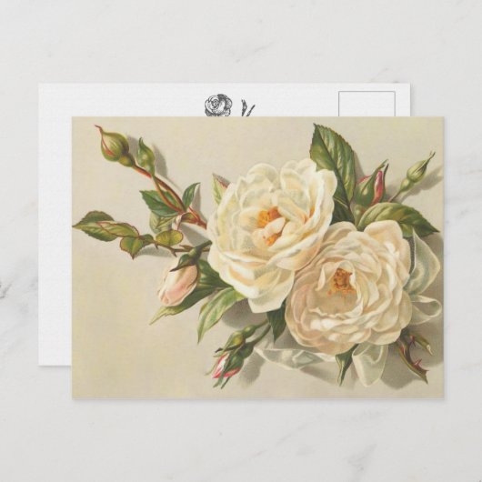 ヴィンテージビクトリアンクリーミーホワイトローズブーケ ポストカード (正面/裏面)