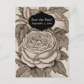 ヴィンテージビクトリアンハロウィーンゴシックバラ ポストカード (正面)