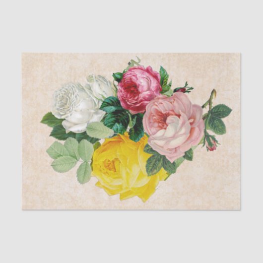 ヴィンテージビクトリアンバラ切り離し 薄葉紙 (正面)