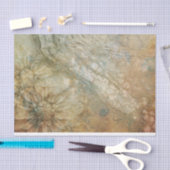 ヴィンテージビクトリアン動揺して芸術的デイジー 薄葉紙 (クラフト)