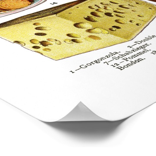 ヴィンテージビクトリアン品種イラストレーション ポスター (角)