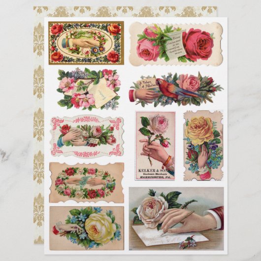 ヴィンテージビクトリアン時代のスクラップブックの手相 (正面/裏面)