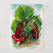 ヴィンテージビクトリアン飲みバグのはがき ポストカード (正面)