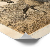 ヴィンテージビクトリアン馬術芸術プリント1857 ポスター (角)