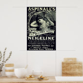 ヴィンテージビクトリアン1894年スキンア気にドラ ポスター (キッチン)