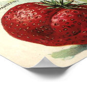 ヴィンテージビクトリアンEra Reidのシードカタログカバー ポスター (角)