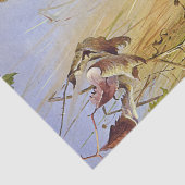 ヴィンテージビューティフルバーズブラブレンデ&チャフインチ 薄葉紙 (詳細)