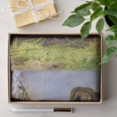 ヴィンテージビューティフルバーズブラブレンデ&チャフインチ 薄葉紙 (ギフト)