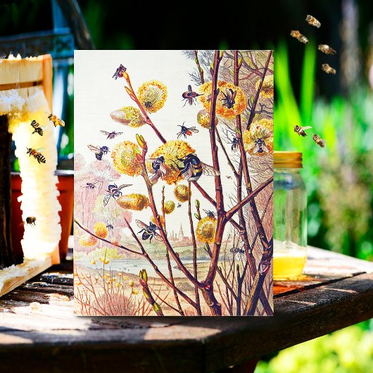 ヴィンテージビーズ春ウィローブロッサム ポストカード