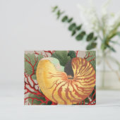 ヴィンテージビーチシーシェル&レッドコーラルポストカード ポストカード (スタンド正面)