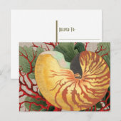 ヴィンテージビーチシーシェル&レッドコーラルポストカード ポストカード (正面/裏面)