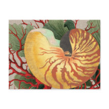 ヴィンテージビーチシーシェル&レッドコーラルポストカード