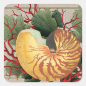 ヴィンテージビーチシーシェル&レッドコーラル スクエアシール (正面)