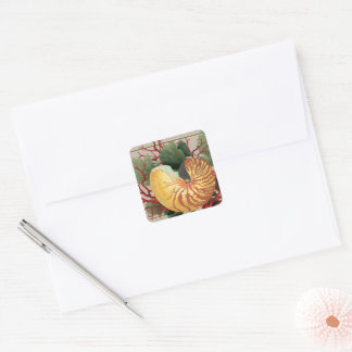 ヴィンテージビーチシーシェル&レッドコーラル スクエアシール