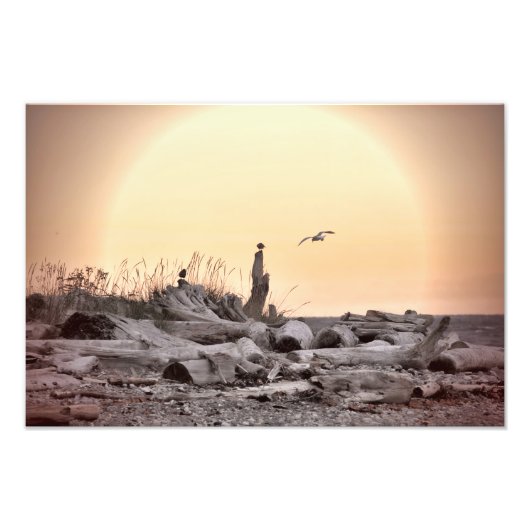 ヴィンテージビーチシーン フォトプリント            (正面)