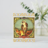 ヴィンテージビーナスエフエマラ葉書 ポストカード (スタンド正面)