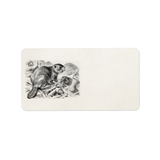 ヴィンテージビーバーイラストレーションレトロビーバーズアンドダム ラベル (正面)