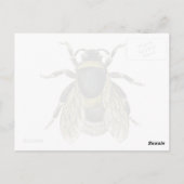 ヴィンテージビーブラックとイエローアンティークハニーミツバチ ポストカード (裏面)